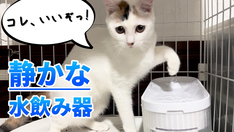 めっちゃ静かな水飲み器に交換して保護猫も大満足